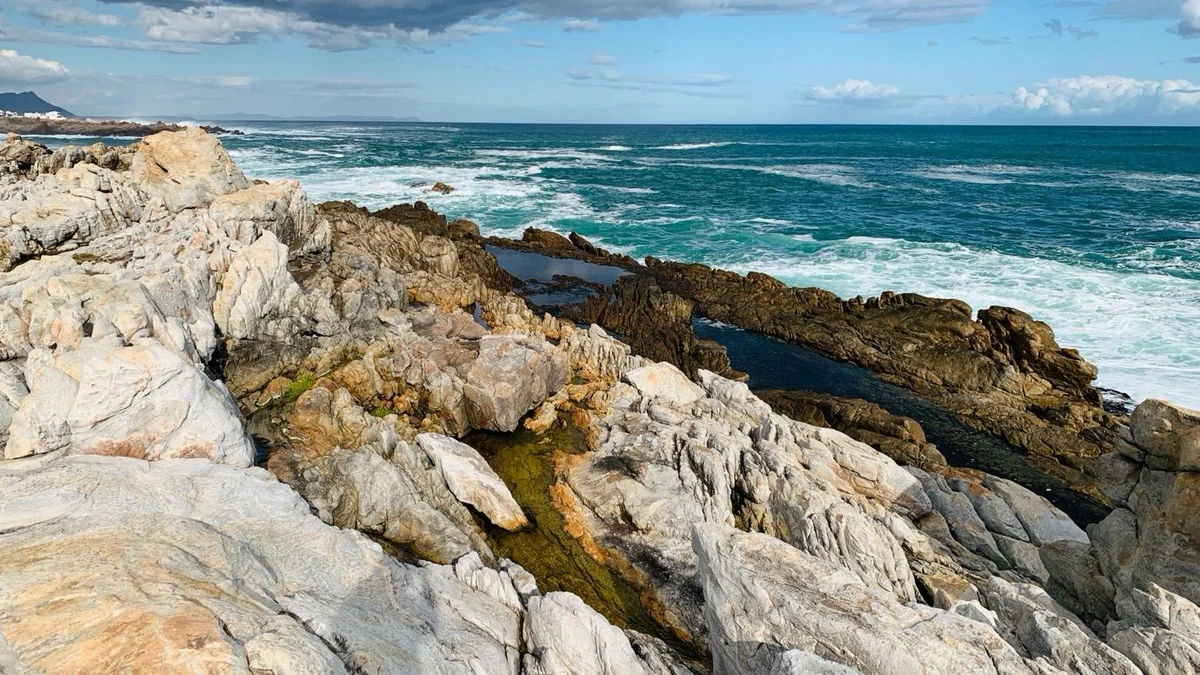 Cape Agulhas & Vineyard Journey: Two Oceans, Coastline & French Estates