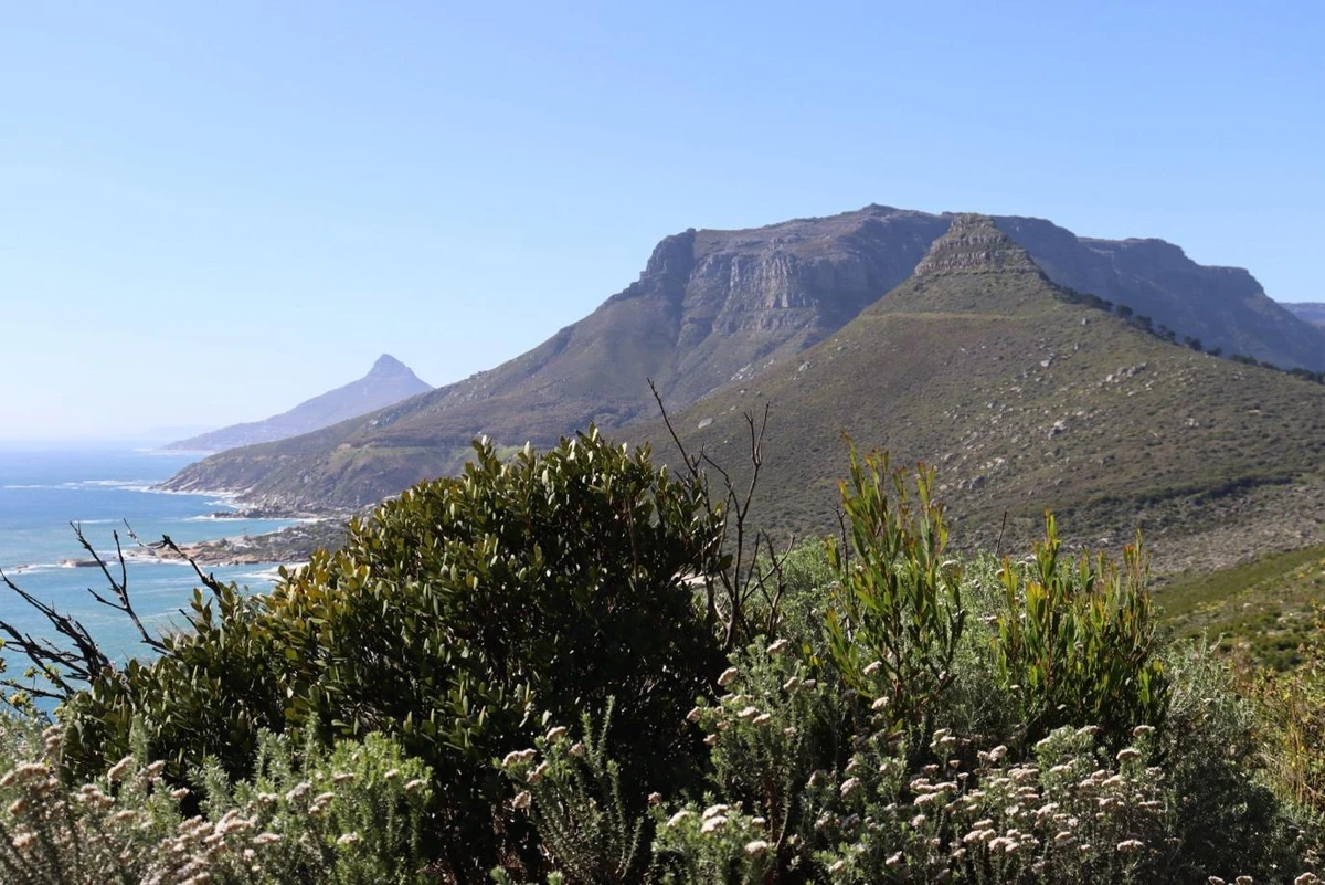 About Guagua Africa Travel