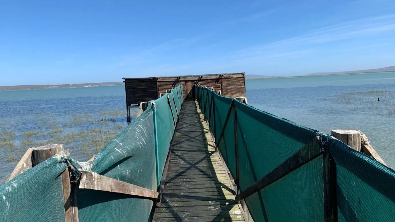 West Coast Seafood Journey: Lobster, Lagoons & Fishing Villages 4