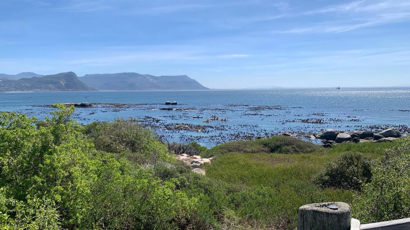 Wild Ocean & Nature Safaris 1