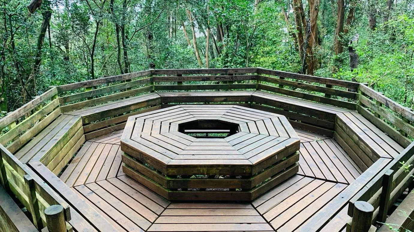 Garden Route Road Journey: Cape Town to Gqeberha 3