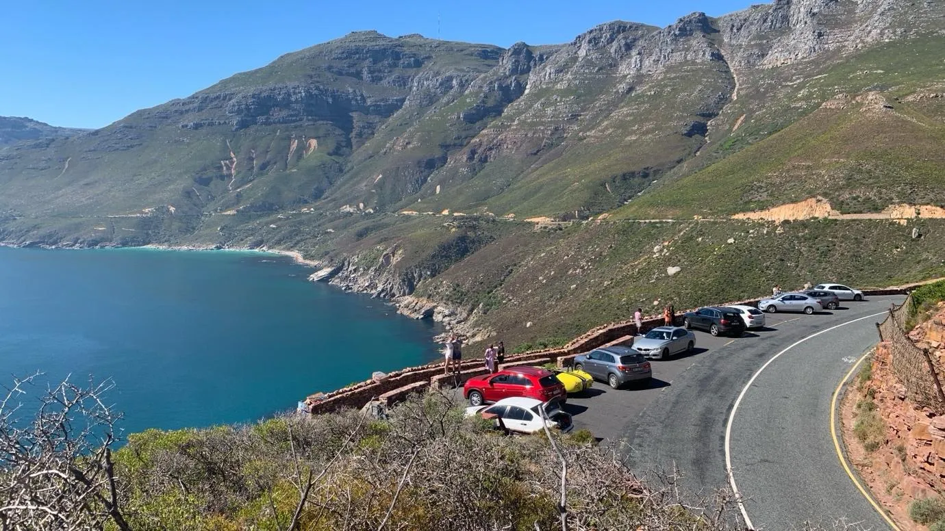 Cape Peninsula Day Journey: Penguins, Cape of Good Hope & Coastal Wildlife 3