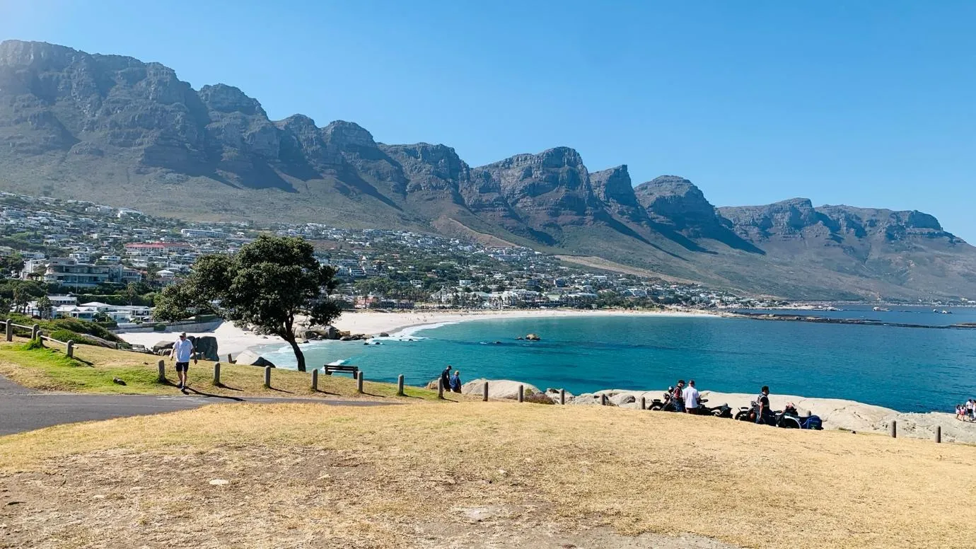 Cape Peninsula Day Journey: Penguins, Cape of Good Hope & Coastal Wildlife 4