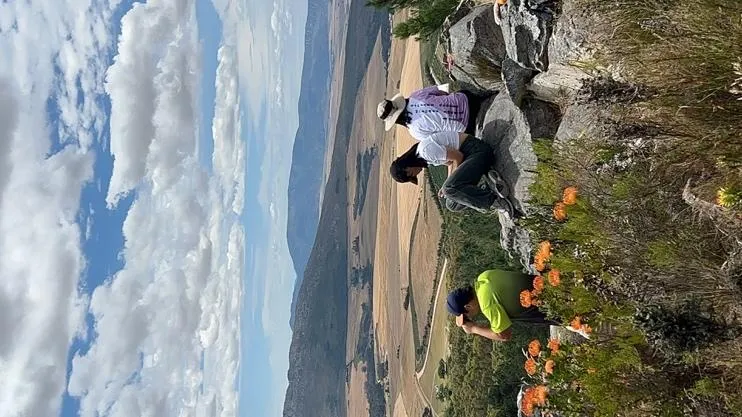 Lion's Head or Table Mountain Guided Hike 3