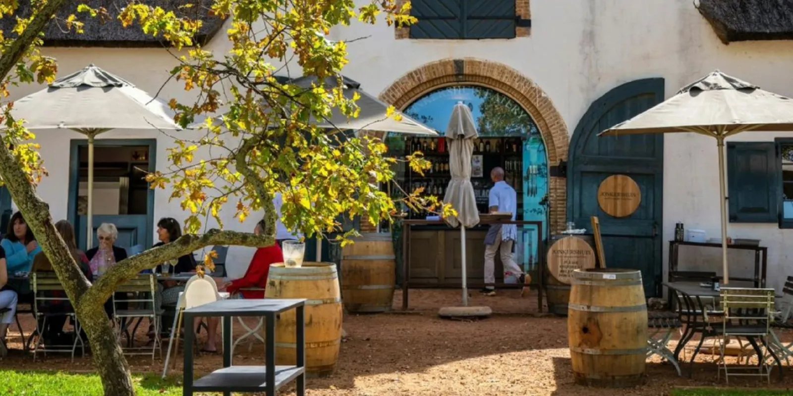 Wine Tasting and Cellar Visiting 1